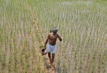 Punjab