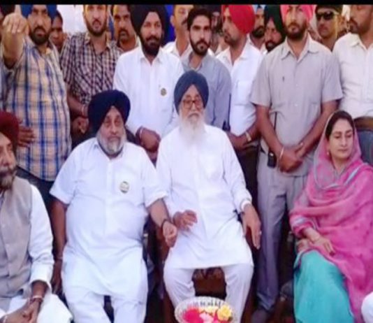 ਬਾਦਲ ਪਰਿਵਾਰ ਦੀ ਹਾਜ਼ਰੀ ਵਿੱਚ ਅਕਾਲੀ ਬਣੇ ਜਗਮੀਤ ਬਰਾੜ