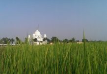 ਗੁਰਦੁਆਰਾ ਸ੍ਰੀ ਕਰਤਾਰਪੁਰ ਸਾਹਿਬ ‘ਚ ਕਿੰਨਾਂ ਕੁ ਬਾਕੀ ਹੈ ਕੰਮ ?
