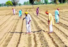 ਪੰਜਾਬ ‘ਚ ਫਸਲੀ ਚੱਕਰ ਟੁੱਟਣ ਲੱਗਿਆ, ਨਰਮੇ ਦੀ ਬੀਜਾਂਦ ਦਾ ਸਰਕਾਰੀ ਟੀਚਾ ਪੂਰਾ ਹੋਣ ਦੇ ਨੇੜੇ ਪੁੱਜਿਆ : ਵਿਸਵਾਜੀਤ ਖੰਨਾ