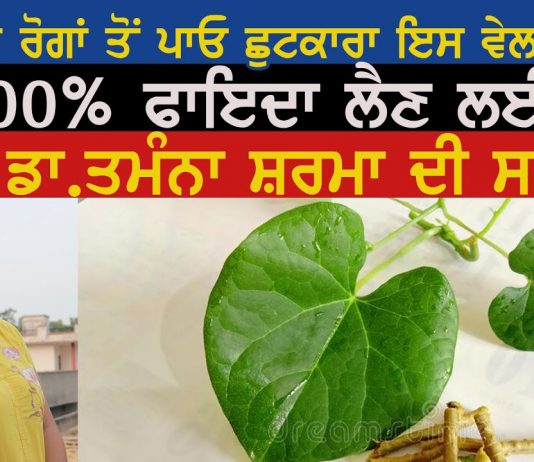 ਗਿਲੋਅ (giloy) ਦੀ ਵਰਤੋਂ ਕਰੋ ਤਾਂ ਸਹੀ ਦੇਖਿਓ ਰੋਗ ਕਿਵੇਂ ਭੱਜਦੇ | Dr Tamana |
