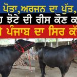 ਸ਼ੌਕ ਦਾ ਮੁੱਲ ਕੋਈ ਨਾ – ਵਿਕਰਾਂਤ ਨੂੰ ਦੇਖਣ ਆਉਂਦੇ ਦੂਰ ਦੂਰ ਤੋਂ ਲੋਕ