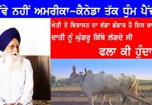 ਬਾਬਿਆਂ ਦਾ ਖੇਤੀ ਵਿਗਿਆਨ ਕਮਾਲ ਦਾ ਸੀ , ਆਮਦਨ ਭਲਾ ਥੋੜੀ ਸੀ ਪਰ ਖੁਦਕਸ਼ੀ ਕੋਈ ਨਹੀਂ ਕਰਦਾ ਸੀ