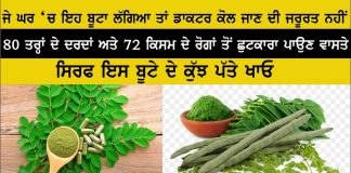 Vaid B K Singh | ਆਹ ਬੂਟੇ ਦੀ ਵਰਤੋਂ ਕਰੋ ਬਿਮਾਰੀਆਂ ਦੀ ਰੇਲ ਬਣਦੀ ਦੇਖੋ | Health Tips | Use Moringa |