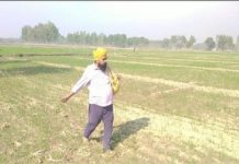 ਆਮ ਆਦਮੀ ਪਾਰਟੀ ਦਾ ਵਿਧਾਇਕ ਸੰਦੋਆ ਸਿਆਸਤ ਦੇ ਨਾਲ-ਨਾਲ ਕਰ ਰਿਹੈ ਖੇਤੀਬਾੜੀ ਵੀ