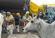 ਕਿਸਾਨ ਯੂਨੀਅਨ (ਲੋਕ ਸ਼ਕਤੀ) ਵਲੋਂ ਸੁਪਰੀਮ ਕੋਰਟ ’ਚ ਪਟੀਸ਼ਨ, ਕਮੇਟੀ ਭੰਗ ਕਰਕੇ ਲੋਕਾਂ ’ਚੋ ਮੈਂਬਰ ਲੈਣੀ ਦੀ ਮੰਗ