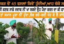 3 ਏਕੜ ਵਿੱਚੋਂ ਕਿਵੇਂ ਲਈਆਂ 45 ਫਸਲਾਂ ਸਬੂਤਾਂ ਸਮੇਤ ਦੇਖੋ , ਕੁਦਰਤੀ ਖੇਤੀ ਦਾ ਵੱਖਰਾ ਮਾਡਲ #Organic Farming