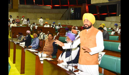 ਵਿਧਾਨ ਸਭਾ ਕਮੇਟੀ ਵੱਲੋਂ ਲਾਲ ਕਿਲਾ ਹਿੰਸਾ ਸਾਜ਼ਿਸ਼ ਕਰਾਰ