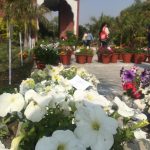 14 March 2022 Spirng Festival Beings at GNDU