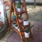 14 March 2022 Spirng Festival Beings at GNDU 17