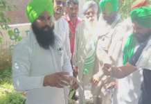 ਲੁਧਿਆਣਾ ਦੇ ਮੁੱਖ ਖੇਤੀਬਾੜੀ ਦਫ਼ਤਰ ‘ਚ ਅਫੀਮ ਦੀ ਖੇਤੀ !
