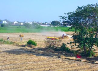 Punjab ਲੈਂਡ ਪੂਲਿੰਗ ਨੀਤੀ ’ਚ ਫੇਰਬਦਲ ਦੀ ਤਿਆਰੀ