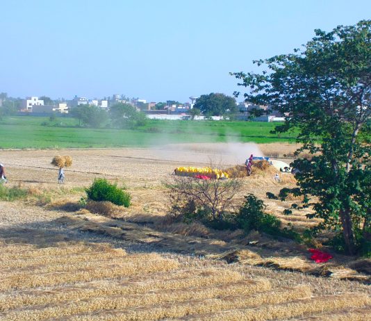 Punjab ਲੈਂਡ ਪੂਲਿੰਗ ਨੀਤੀ ’ਚ ਫੇਰਬਦਲ ਦੀ ਤਿਆਰੀ