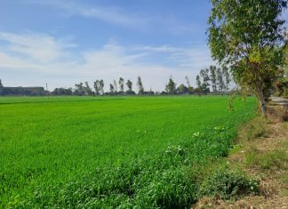 3553 ਏਕੜ ਜ਼ਮੀਨ ਐਕੁਆਇਰ ਕਰਨ ਲਈ ਨੋਟੀਫਿਕੇਸ਼ਨ