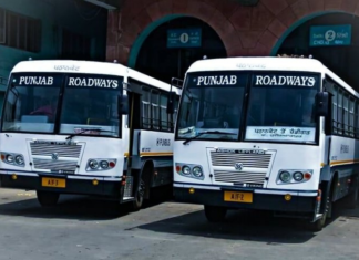 punjab roadways