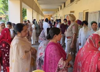Punjab MC Elections: ਦੁਪਹਿਰ 2 ਵਜੇ ਤੱਕ ਵੋਟਾਂ ਪਈਆਂ ਕਿੰਨੀਆਂ ਵੋਟਾਂ
