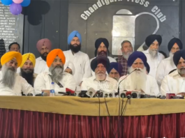ਅਕਾਲੀ ਦਲ ਪੁਨਰ ਸੁਰਜੀਤ ਦੇ 15 ਤੋਂ ਵੱਧ ਆਗੂਆਂ ਨੇ ਕੀਤੀ ਬਗਾਵਤ