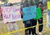 Canada : ਵਰਕ ਪਰਮਿਟ ਤੋਂ ਨਾਂਹ, ਸੈਂਕੜੇ ਵਿਦਿਆਰਥੀ ਸੜਕਾਂ ’ਤੇ
